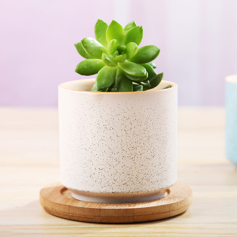 Creative Desktop Simple And Fleshy Flowerpot Ceramics