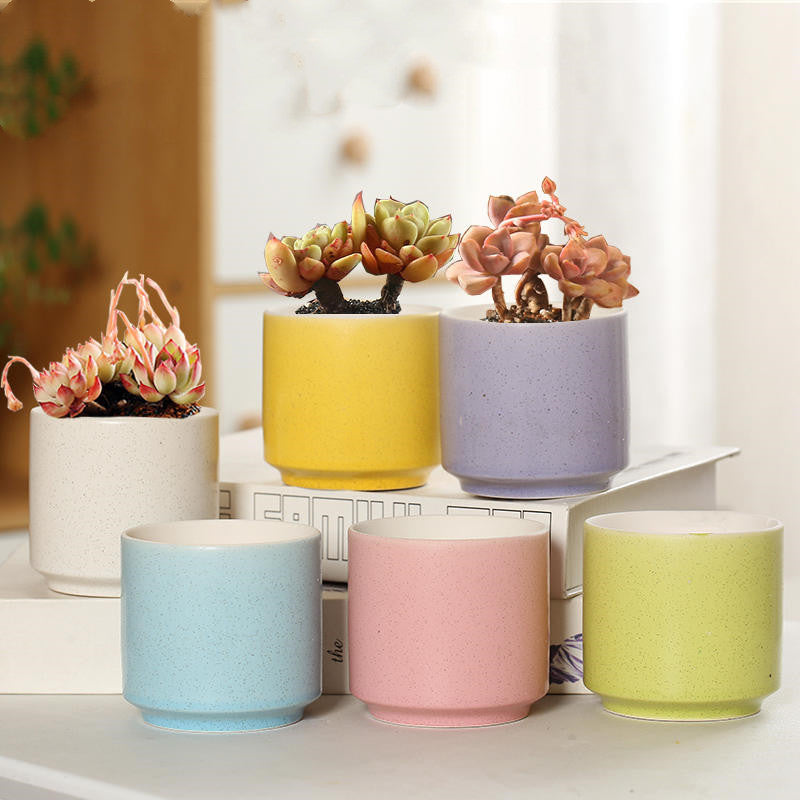 Creative Desktop Simple And Fleshy Flowerpot Ceramics
